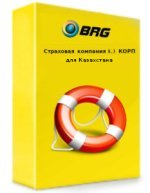 BRG:Страховая компания 8.3 КОРП для Кыргызстана